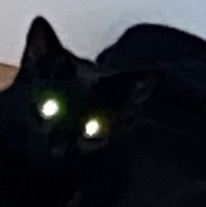 Meet your Posher, Hi_